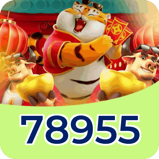 Verificação KYC 78955